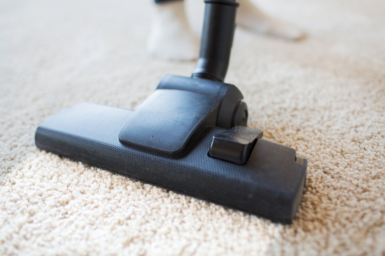 Carpet Cleaning